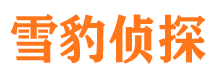 汾西侦探公司